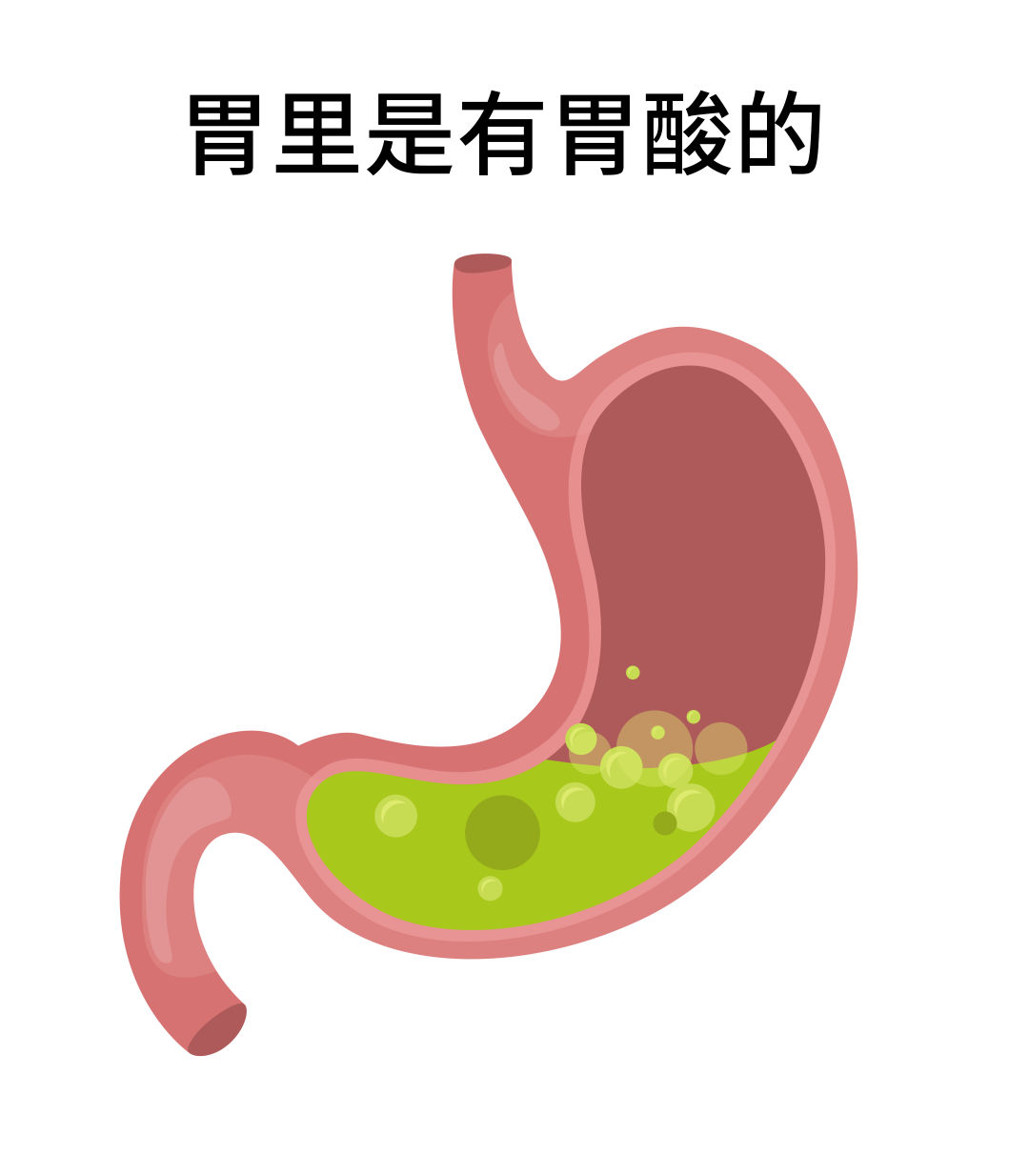 沈阳经济技术开发区人民医院（开发区医院）,消化内科,饮酒,解酒