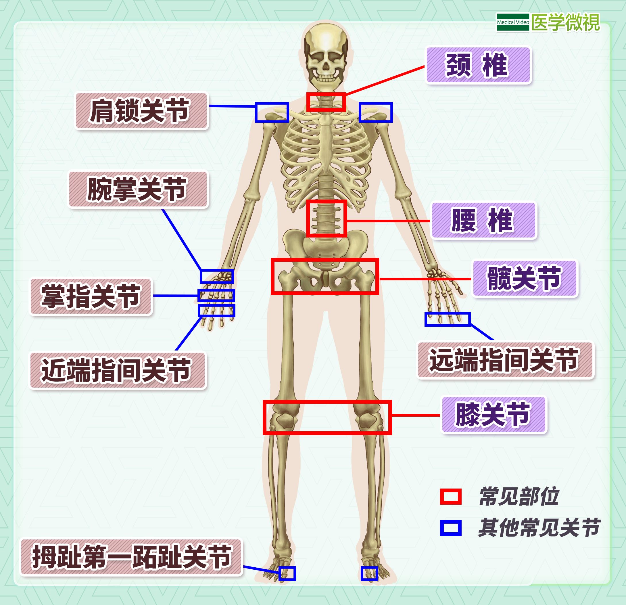 沈阳经济技术开发区人民医院（三级综合医院）,骨外科