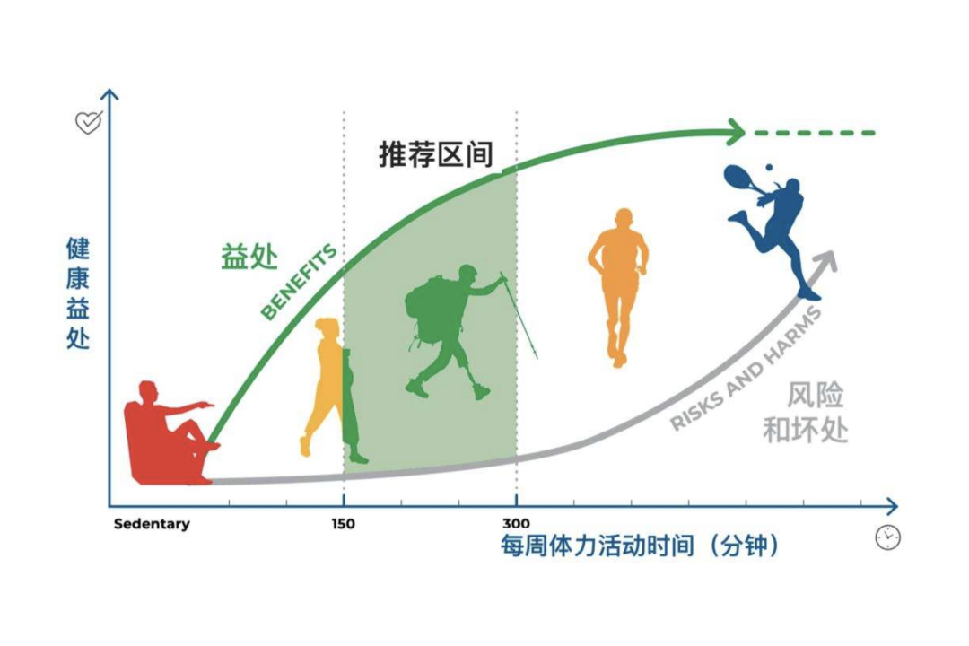 开发区医院官网（开发区医院）,身体活动,运动