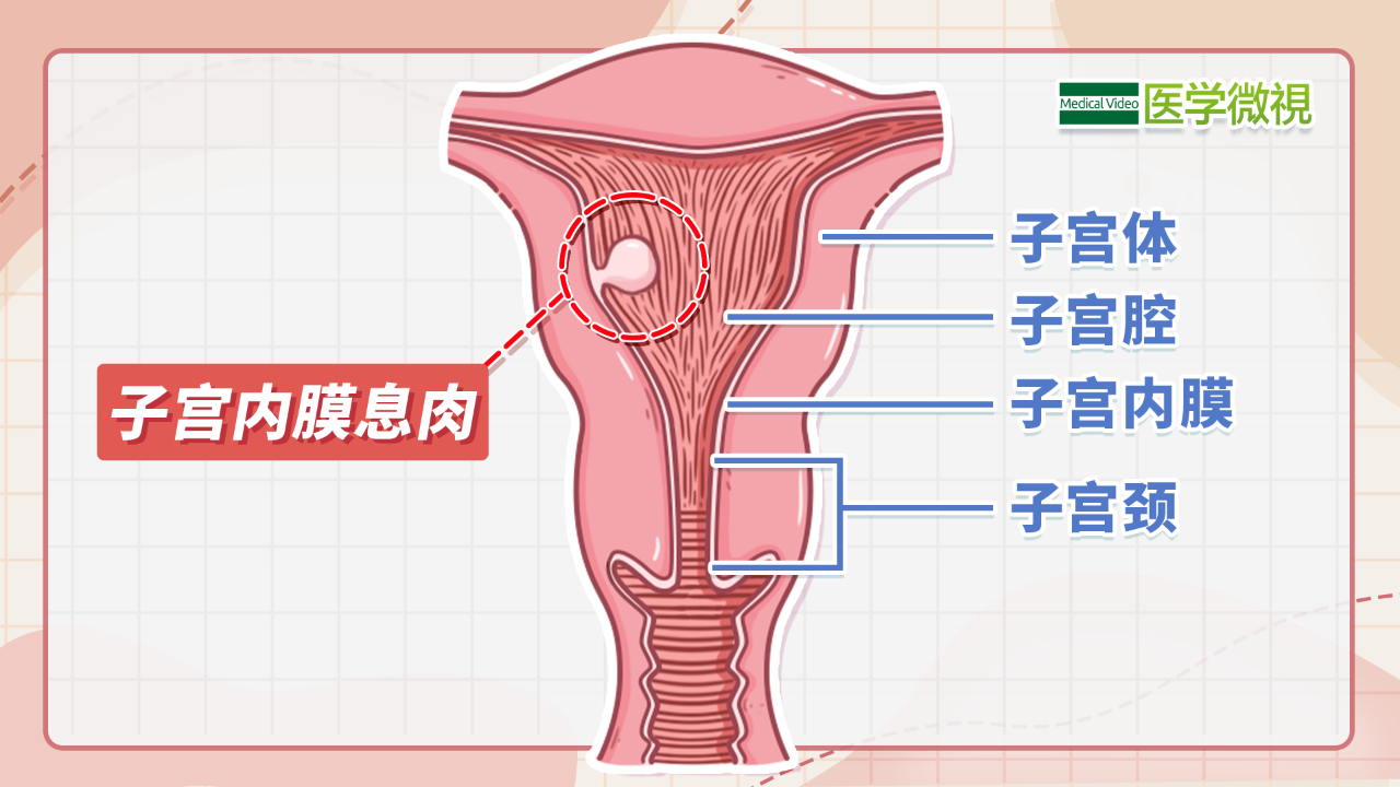 沈阳经济技术开发区人民医院官网（开发区医院）,妇产科