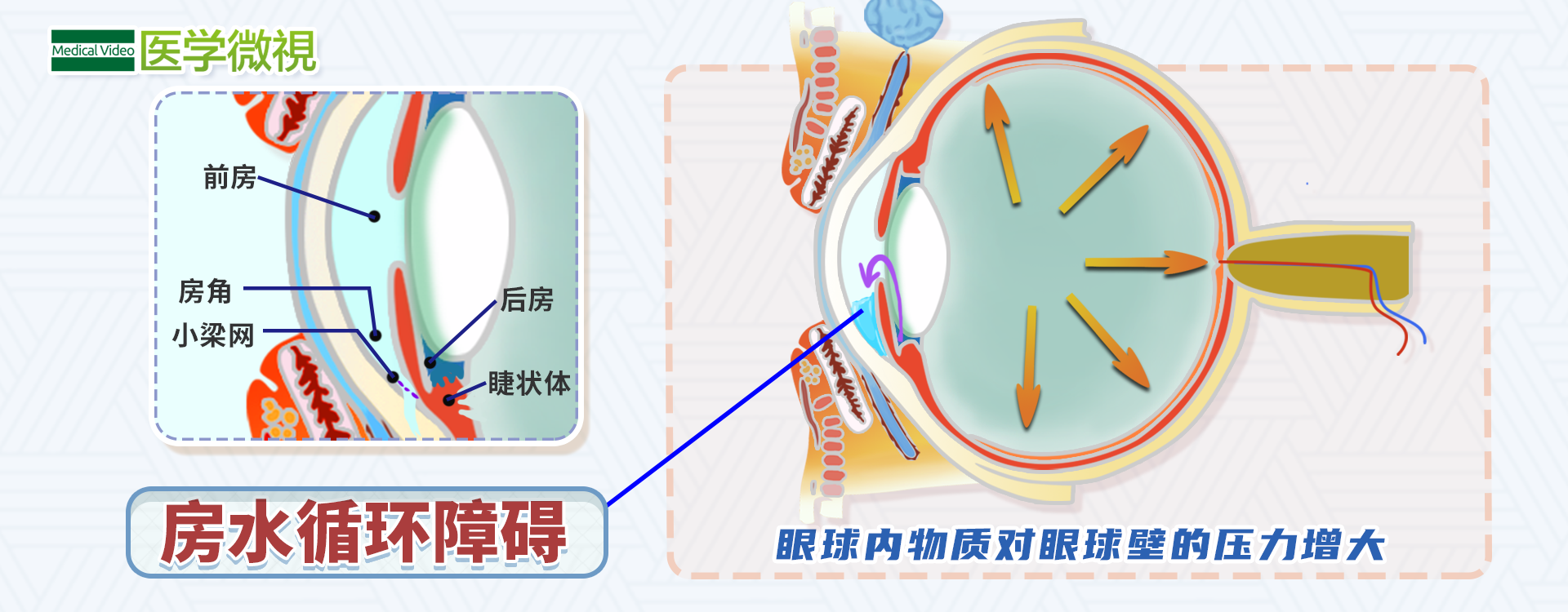 沈阳经济技术开发区人民医院官网（开发区医院）,眼科