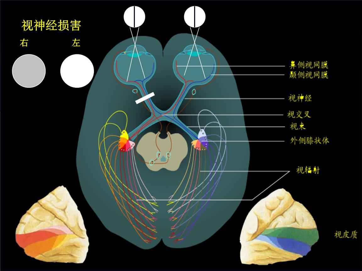 开发区医院官网（开发区医院）,关灯玩手机